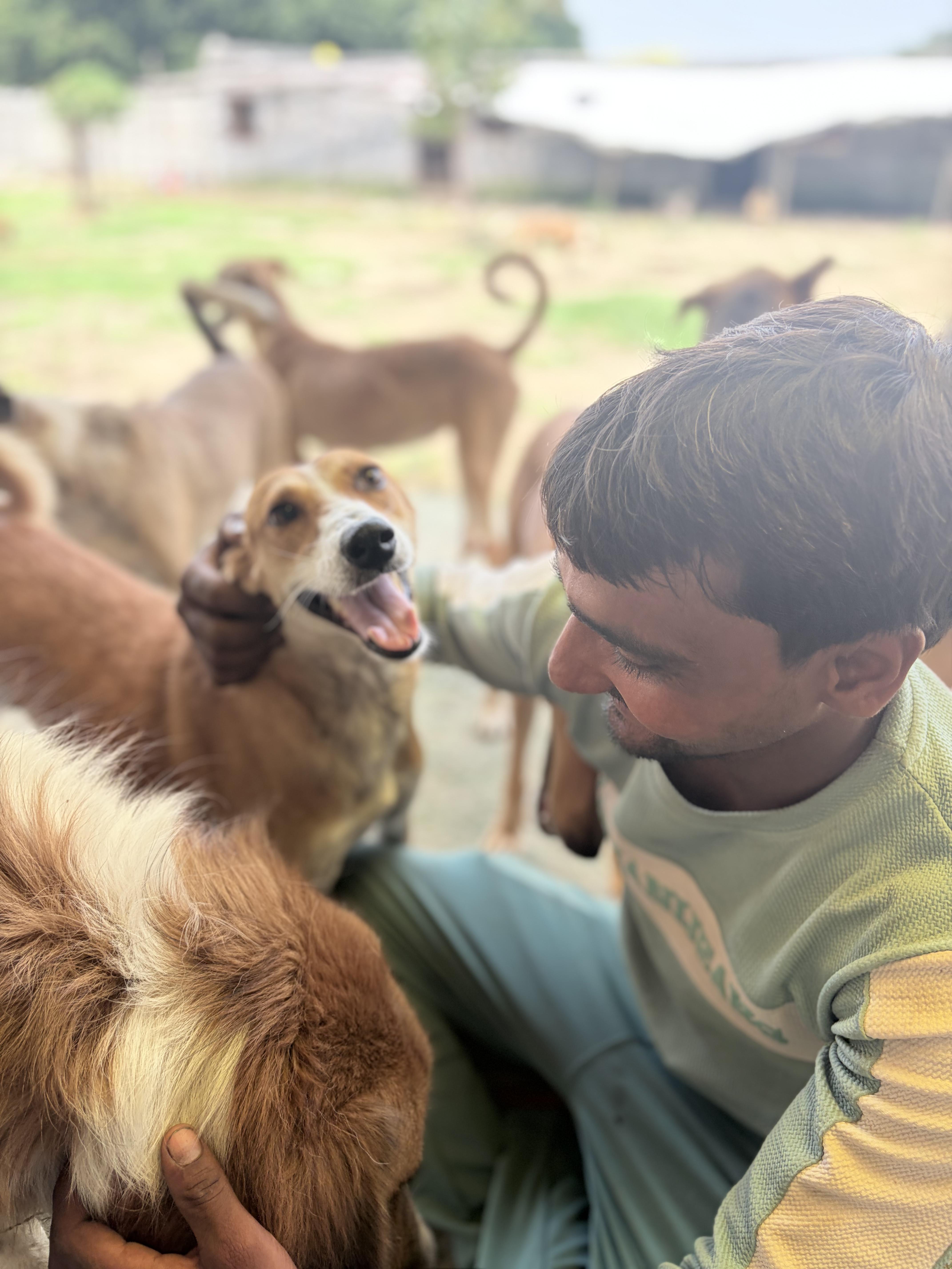 Emergency animal rescue operation